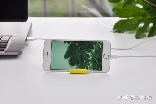 2021年蘋果產(chǎn)品選購指南 iPhone、iPad、iWatch、AirPods全方位解析及軟件設(shè)計(jì)開發(fā)推薦